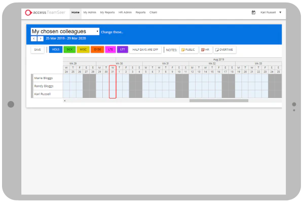 screenshot of Access TeamSeer
